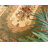 Debora Oriental Area Rug-1746783483-1746783367