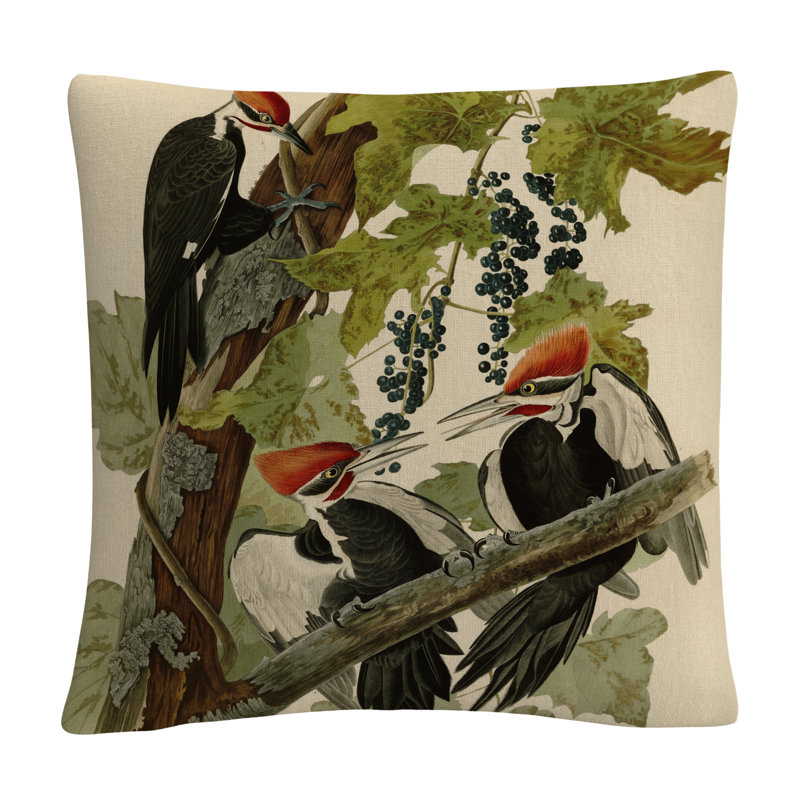 John James Audubon Throw Pillow