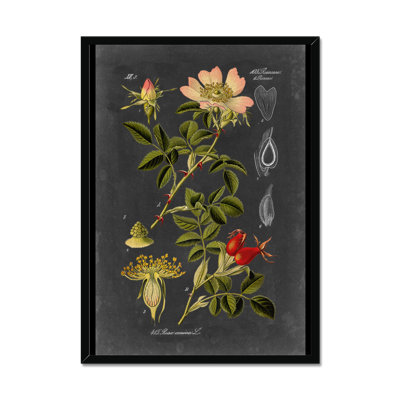 Midnight Botanical I 1 Piece Wall Art