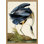 " Oiseau 1 "