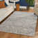 Aidy 1244 Transitional Abstract Beige Area Rug