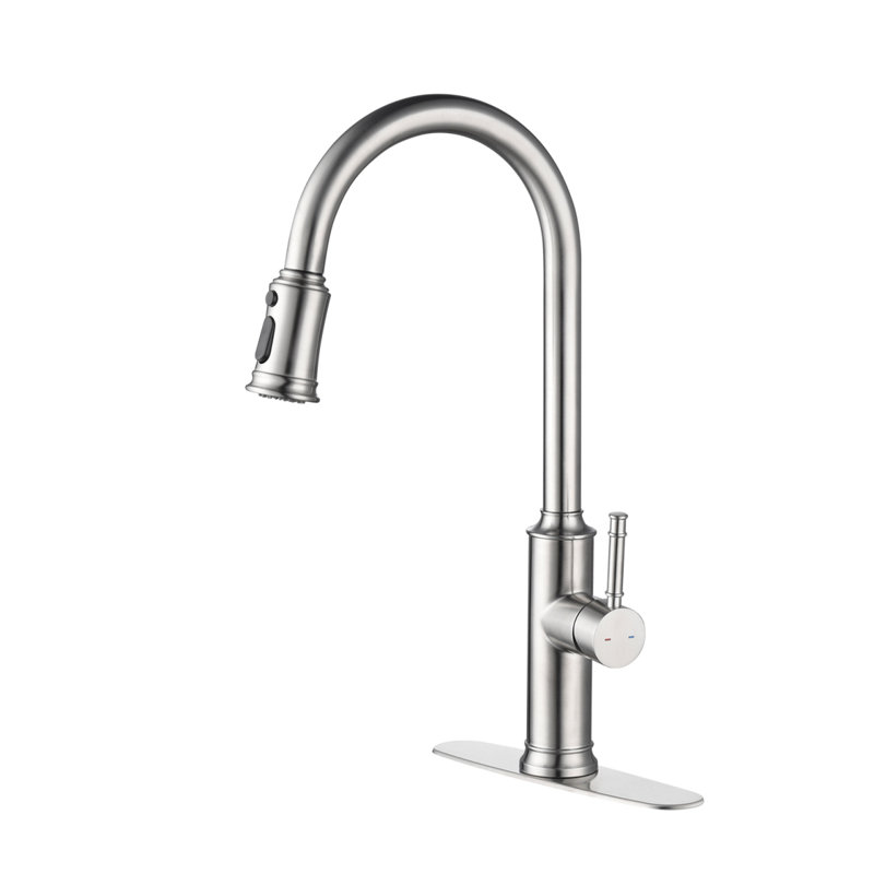 Kitchen Faucet With Pull Out Spraye, Brushed Nickel