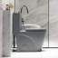 Une toilette avec double chasse d'eau 001. Siège à fermeture en douceur 1,1 / 1,6. Eau, bol allongé. Hauteur, céramique Chasse, hauteur. Pour la catégorisation