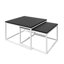 Sattley 2 Piece Coffee Table-999278278-999278296-993465170