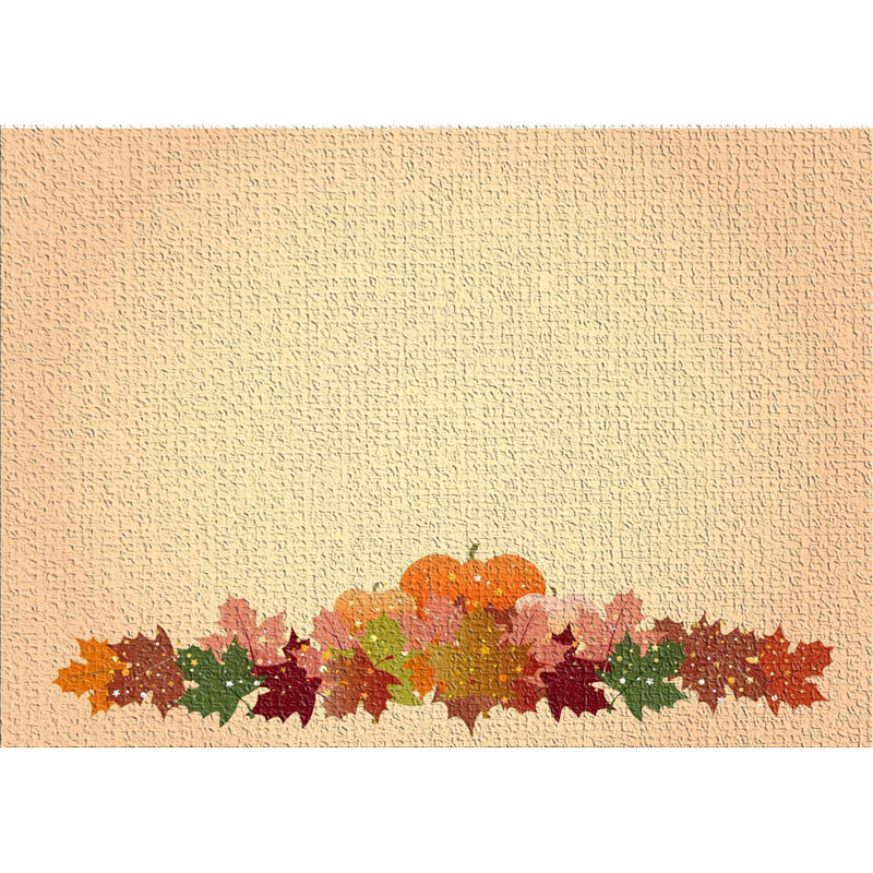 Performance Cotton Indoor Rug, Rectangle 5' x 7'