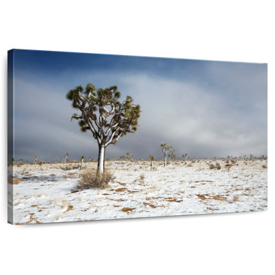 Harnek Snowy Mojave Desert
