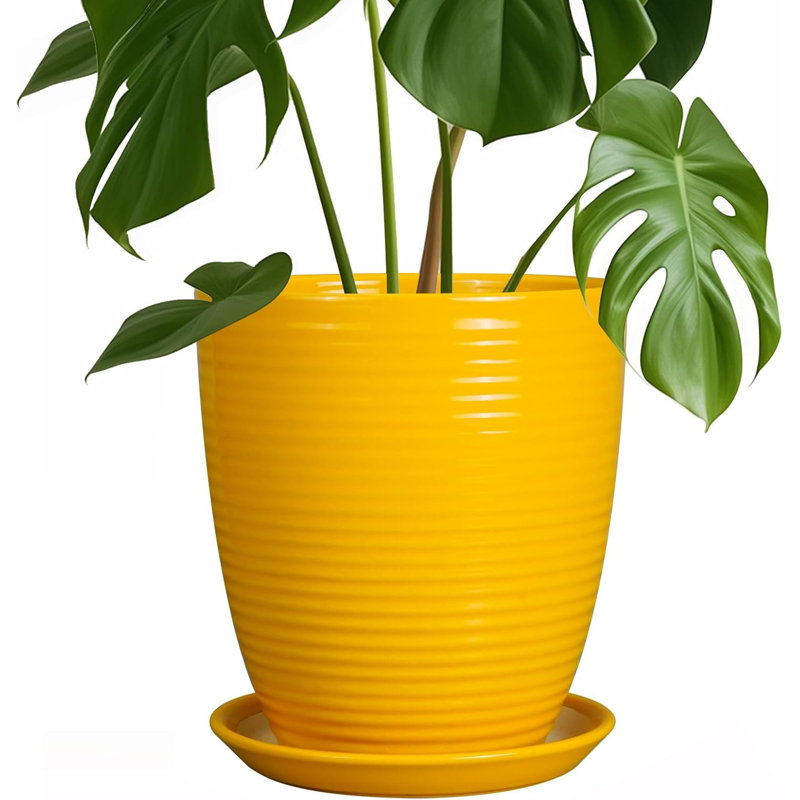 8 Inch Glossy Yellow Ceramic Planter Pot