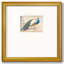 «Golden Peacock Iiompemium», reproduction encadrée-88071229-88449432
