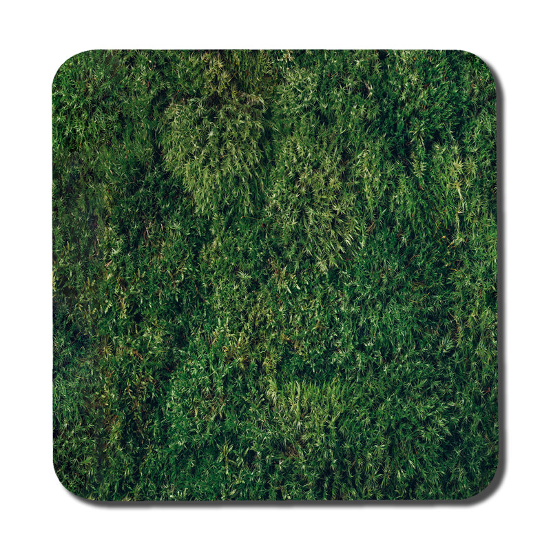 Douai Square 6 Piece Coaster Set