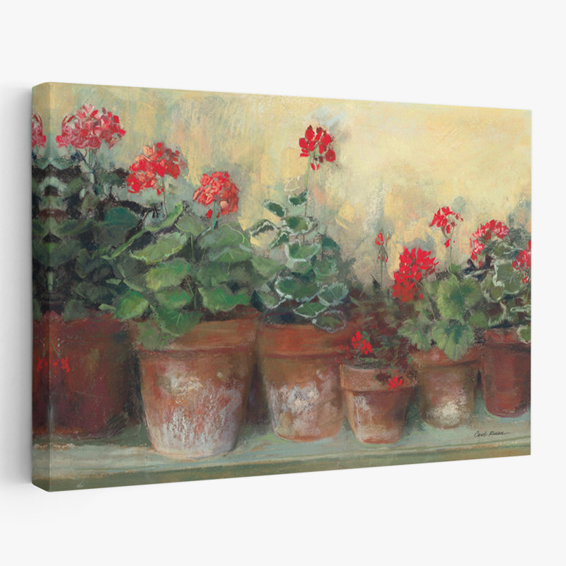 Jardinage des géraniums Kathleens, H 24 po x l 16 po