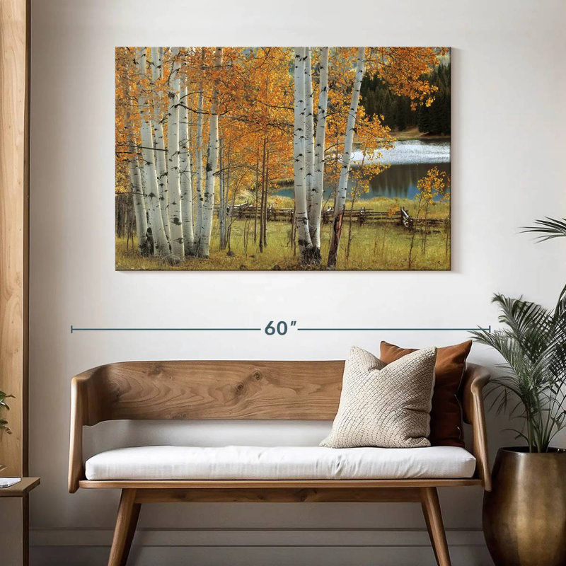 Alvord Birch Beauty, 32" H x 48" W