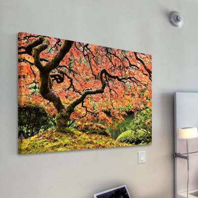 " Autumn Magnificence " by Don Schwartz