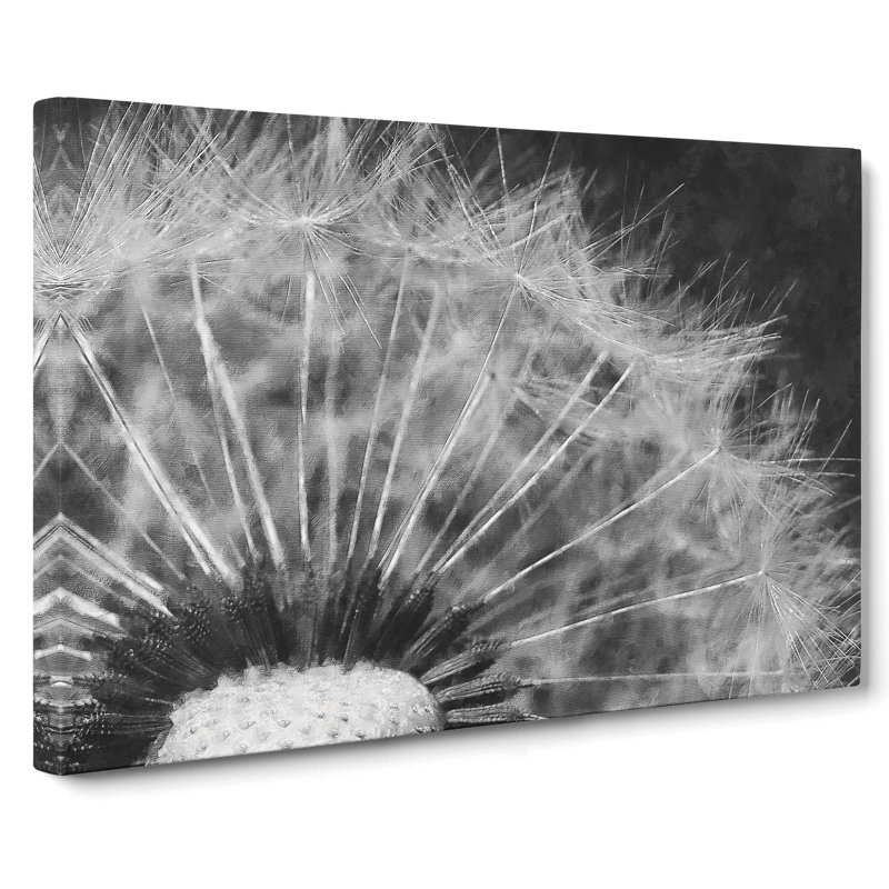 Dandelion Seeds Vol.8 - Wrapped Canvas Print, 35cm H x 50cm W x 3cm D