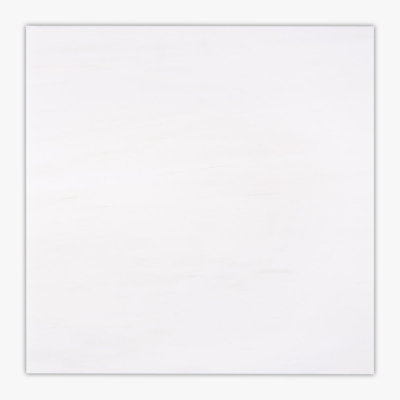 Carreau de marbre et de mur 24 po x 24 po Bianco