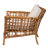 Birty 33.8'' Wide Rattan Armchair