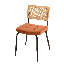 Benji 49cm H Metal Side Chair
