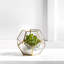 Photophore central en verre 6 po