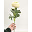 1 fleur artificielle de haute qualité Ranunculus-676862007