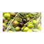 50cm W x 100cm L Glass Peel and Stick Panel