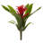 Bromeliad Bush Silk Flowers-24745657