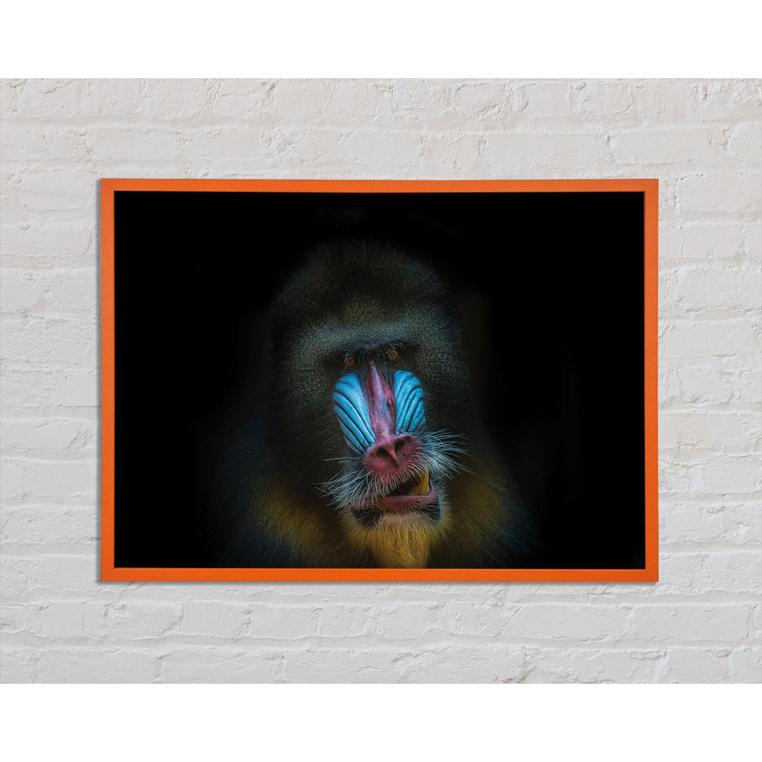 Mandrill Anger - Drucken