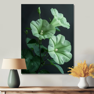 «Green Garden Meadow Morning Glory Photo I - Morning Glory», art mural salon