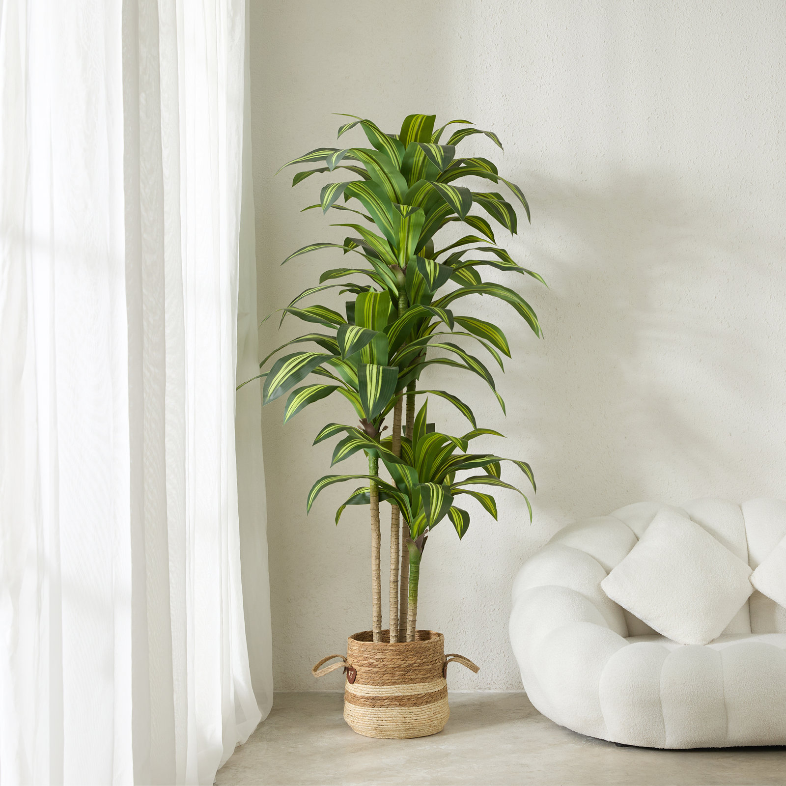 Adcock 72" Dracaena Tree in Pot, Yellow, 72" H x 24" W x 24" D