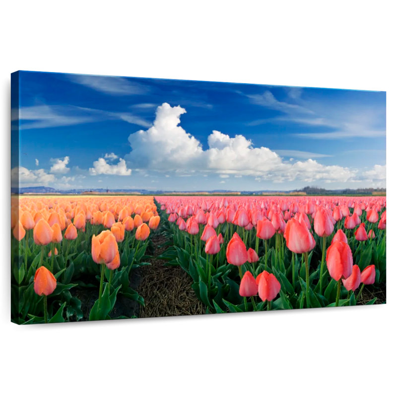 Harnek orange et tulipes roses, H 16 po x l 24 po