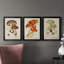 Champignon Variétés VI, reproduction encadrée de qualité supérieure, prête à être accrochée-898072089-898072088-898086849