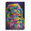«Lion New» par Bob Weer-1715373890