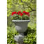 Litchfield Planter-13938388