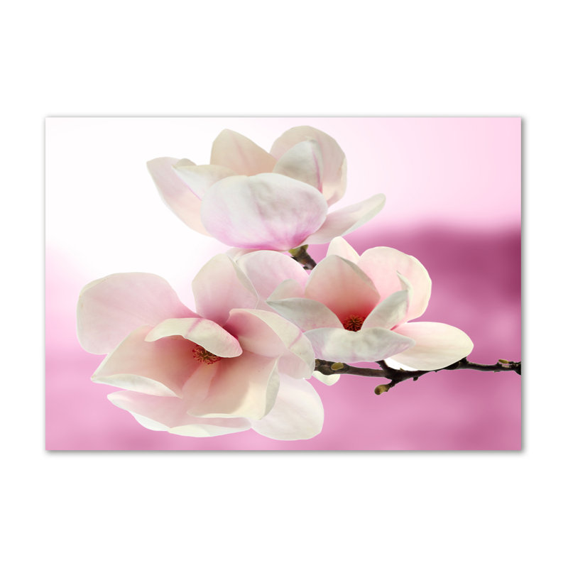 Magnolia - No Frame Print on Canvas