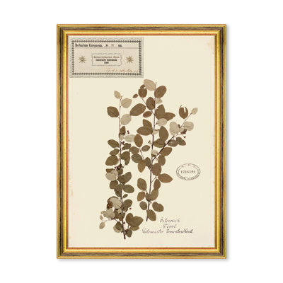 Botanical