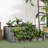 Jasso Outdoor Planter Box