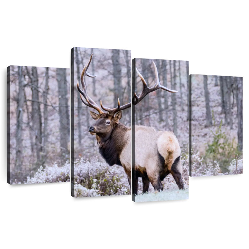 Brampt Wandering Winter Elk, 42" H x 68" W