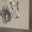 «Animal Study by Studio A», reproduction d'art encadrée à la main-810343613