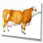 Vache laitière brune-reproduction d’art-29496829-35111741