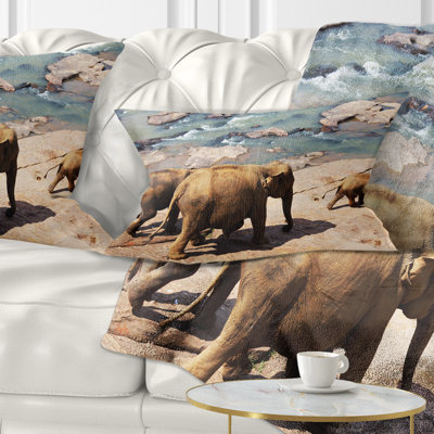 Coussin Schafer