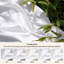 Ensemble de draps en rayonne de bambou Essential Collection-106012027-110219949