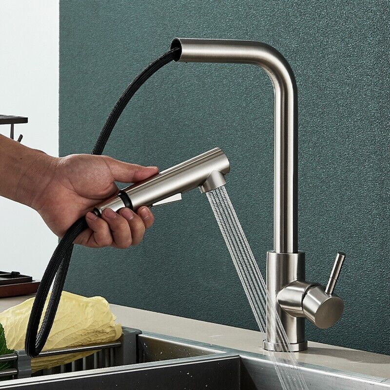Belfry Kitchen Simlai Pull Out Kitchen Faucet