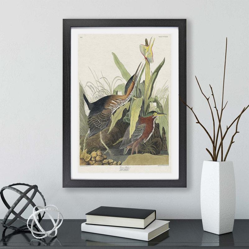 Heron by John Audubon - Single Picture Frame Painting, Black, 45cm H x 63cm W x 2cm D