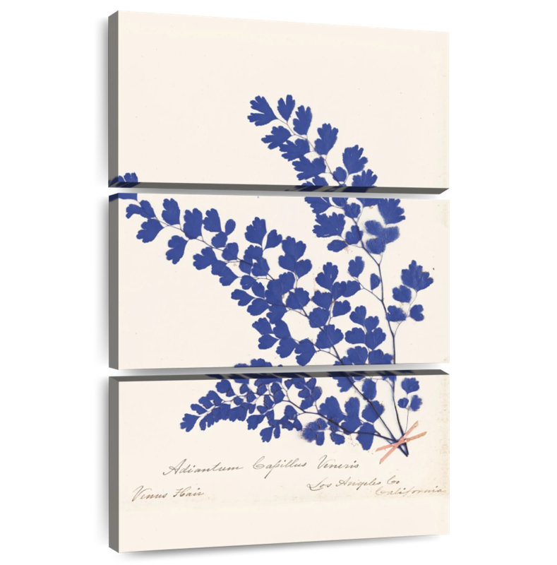 Harnek Botanical Fern III, H 23 po x l 14 po
