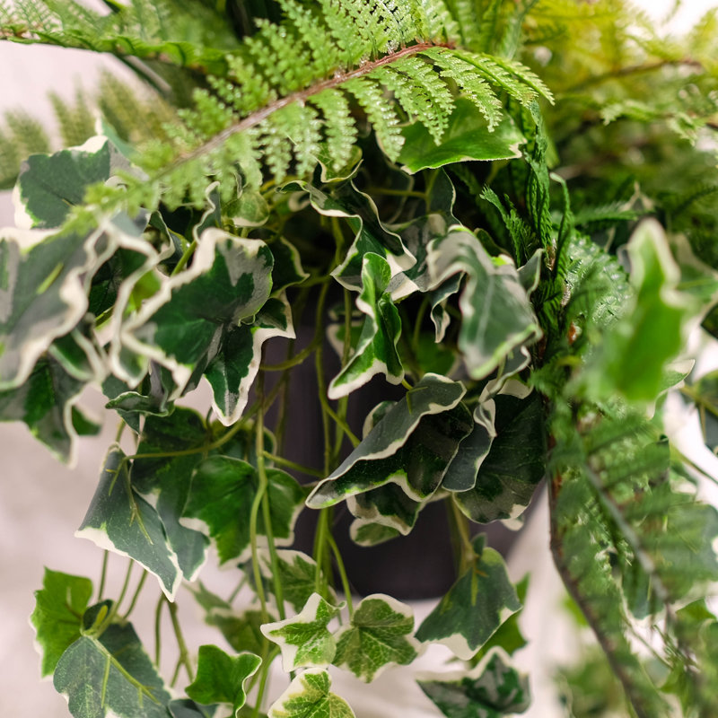 Mixed Arrangement in Pot