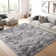 Light gray shag area rug