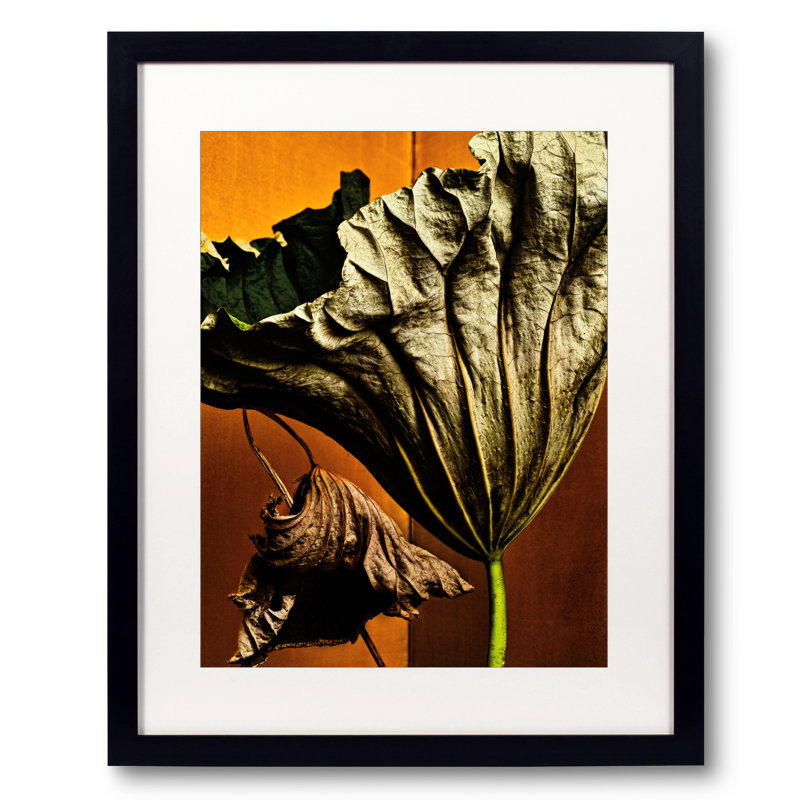 Lotus - Golden Light #003 Print by Keiichiro Muramatsu, 20" H x 16" W