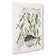 Globe Fish by Mark Catesby - Wrapped Canvas Painting-55317006