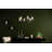 30.25" 6-Light Chandelier-1595634607