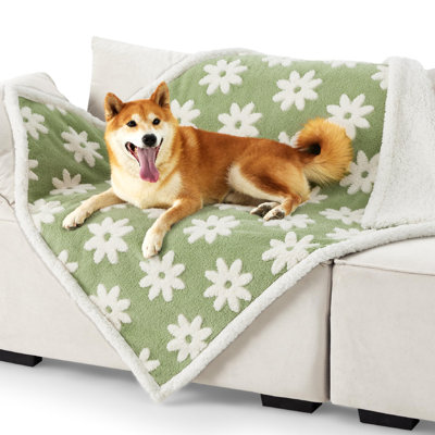 Couverture pour chien Lesure