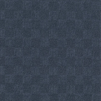 24'' W x 24'' L Level Loop Peel & Stick Polyester Carpet Tile
