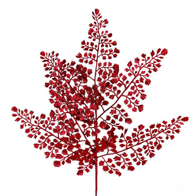 Ensemble de 4 plantes et arbres Maidenhair